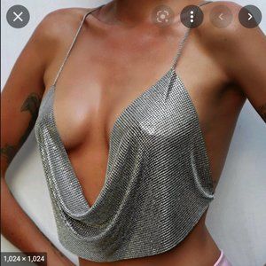 Naked Tiger Silver Mesh Top!